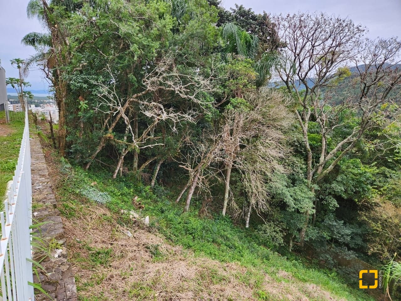Terreno com 794m², no bairro Córrego Grande em Florianópolis