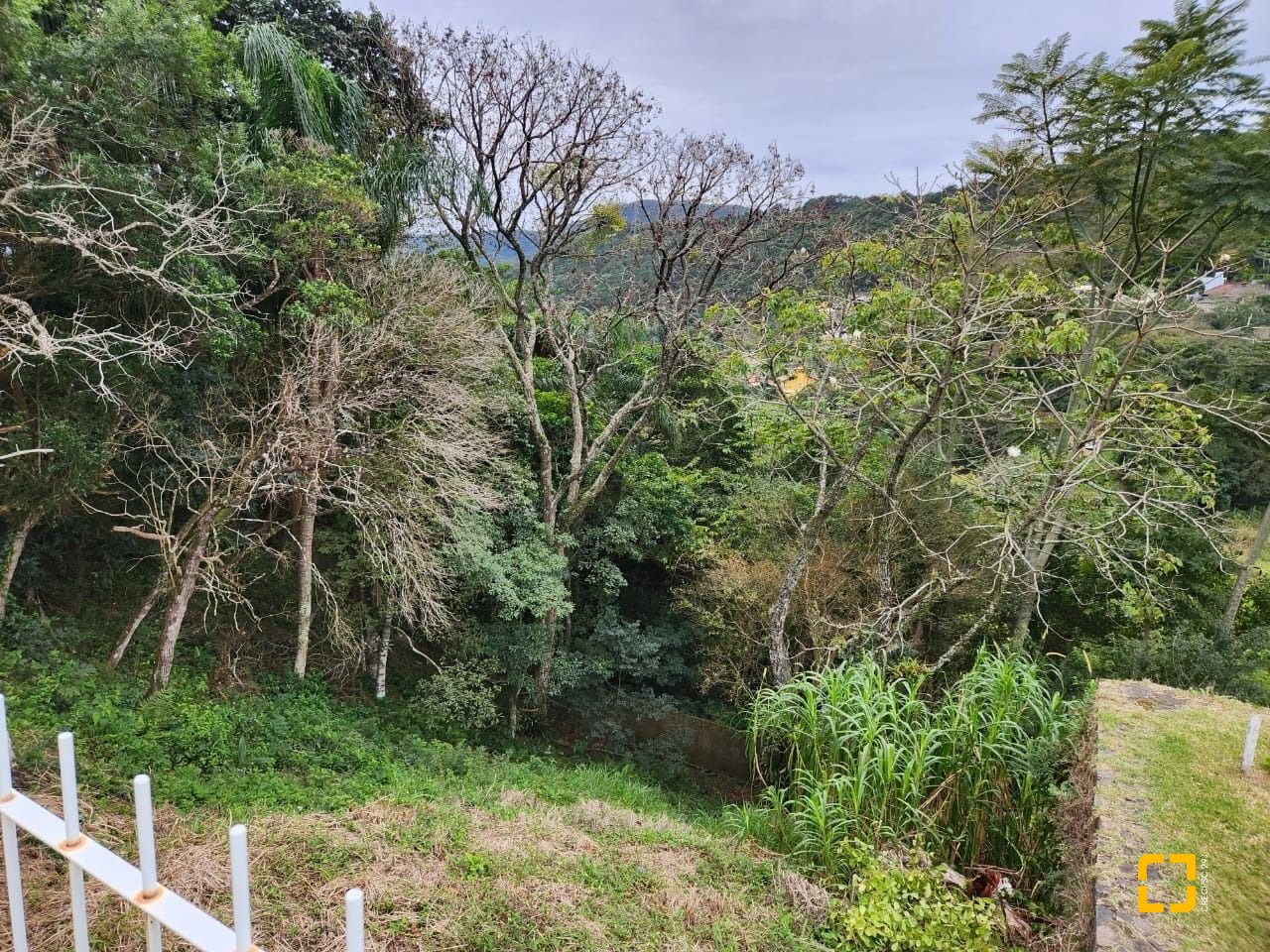 Terreno com 794m², no bairro Córrego Grande em Florianópolis