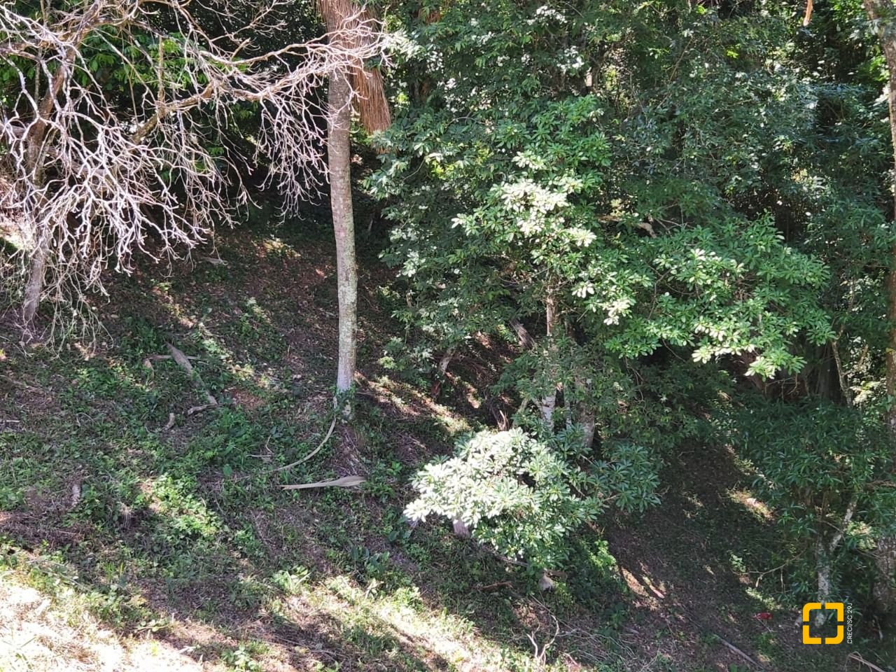 Terreno com 794m², no bairro Córrego Grande em Florianópolis
