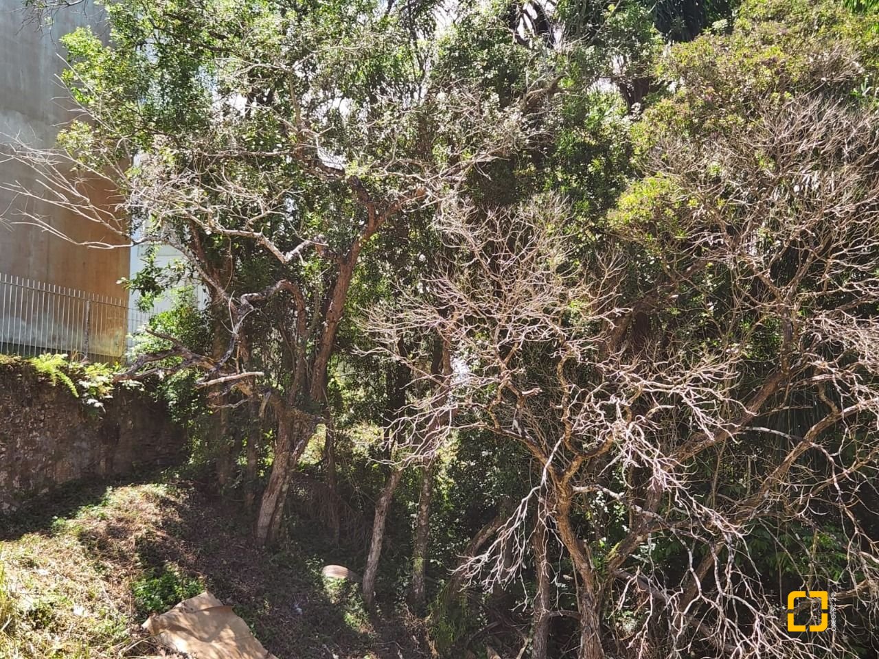 Terreno com 794m², no bairro Córrego Grande em Florianópolis