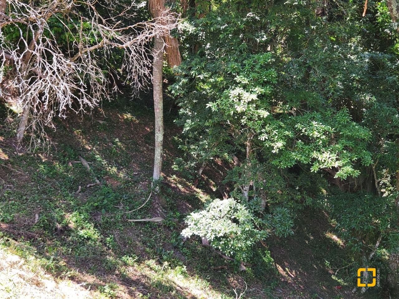 Terreno com 794m², no bairro Córrego Grande em Florianópolis