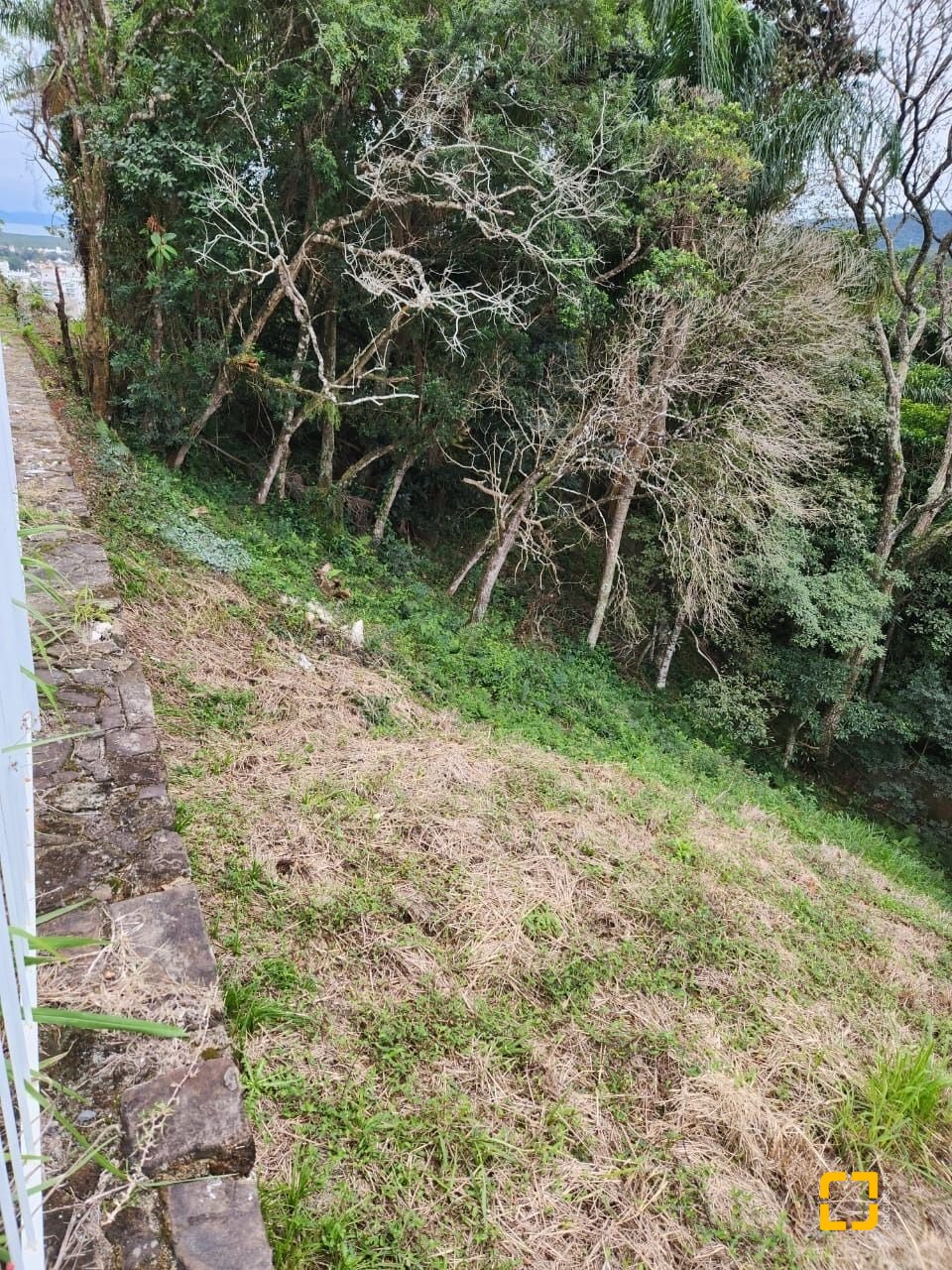 Terreno com 794m², no bairro Córrego Grande em Florianópolis
