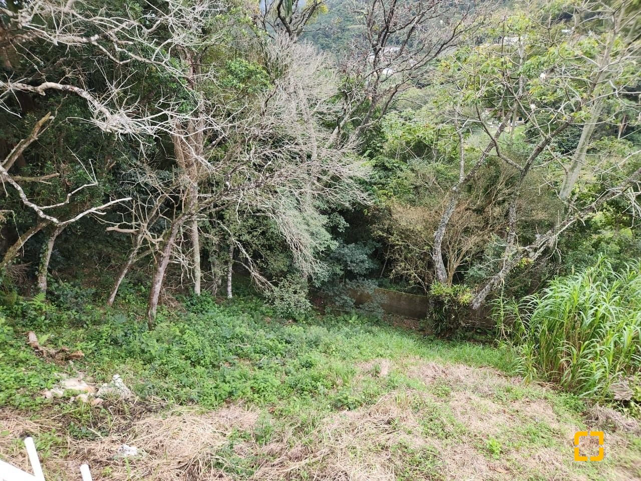 Terreno com 794m², no bairro Córrego Grande em Florianópolis