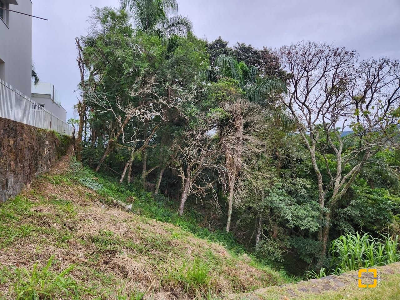 Terreno com 794m², no bairro Córrego Grande em Florianópolis