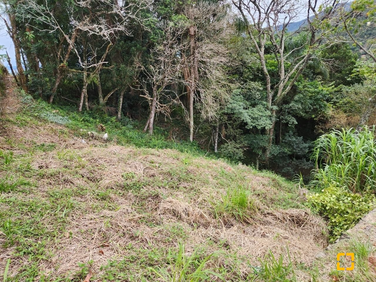 Terreno com 794m², no bairro Córrego Grande em Florianópolis