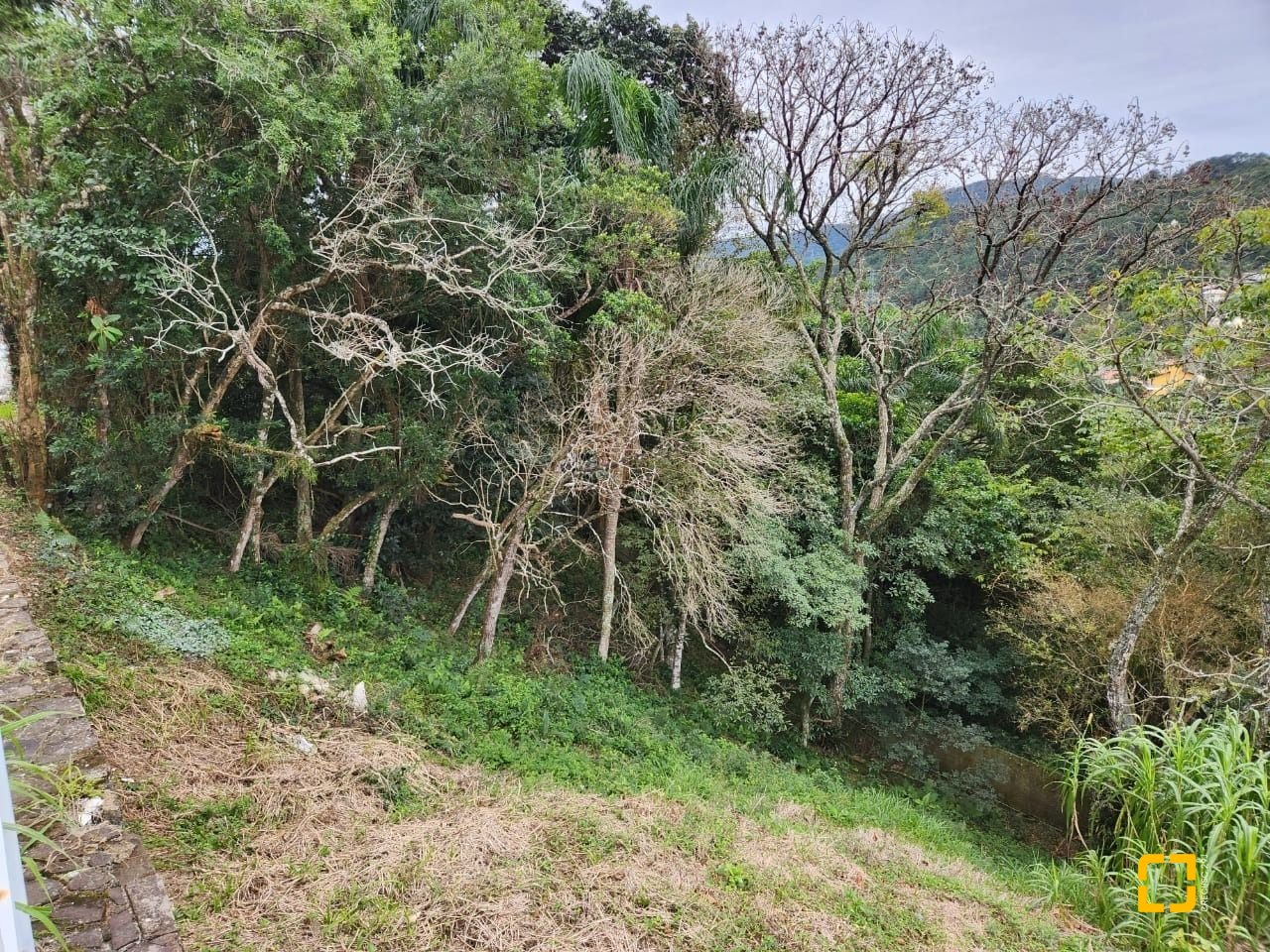 Terreno com 794m², no bairro Córrego Grande em Florianópolis