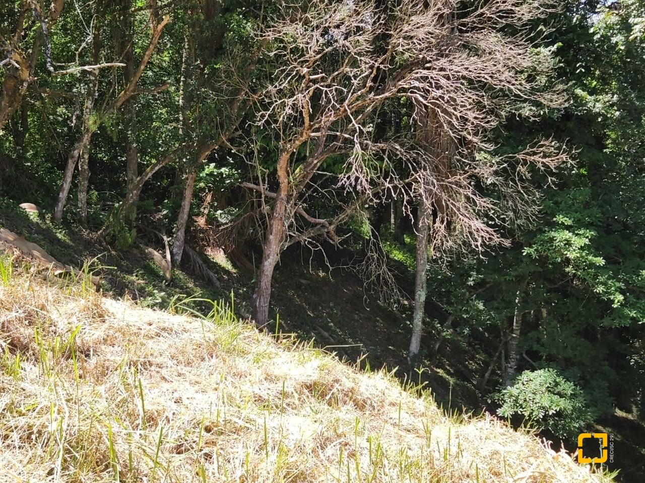 Terreno com 794m², no bairro Córrego Grande em Florianópolis
