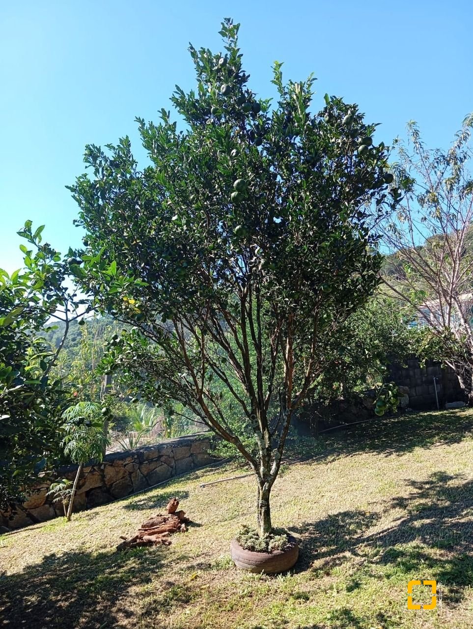 Casa com 15600m², 4 quartos (sendo 1 suíte), 2 garagens, no bairro Ribeirão da Ilha em Florianópolis