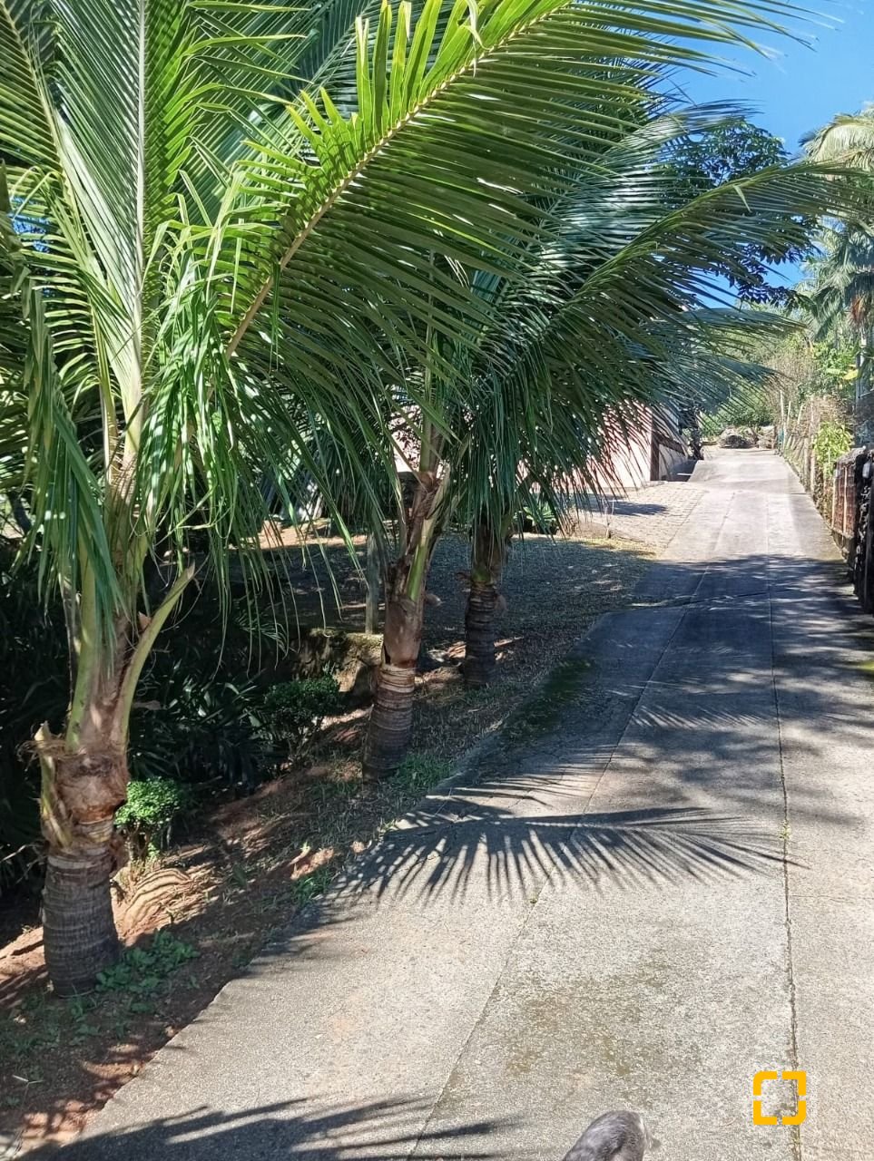 Casa com 15600m², 4 quartos (sendo 1 suíte), 2 garagens, no bairro Ribeirão da Ilha em Florianópolis