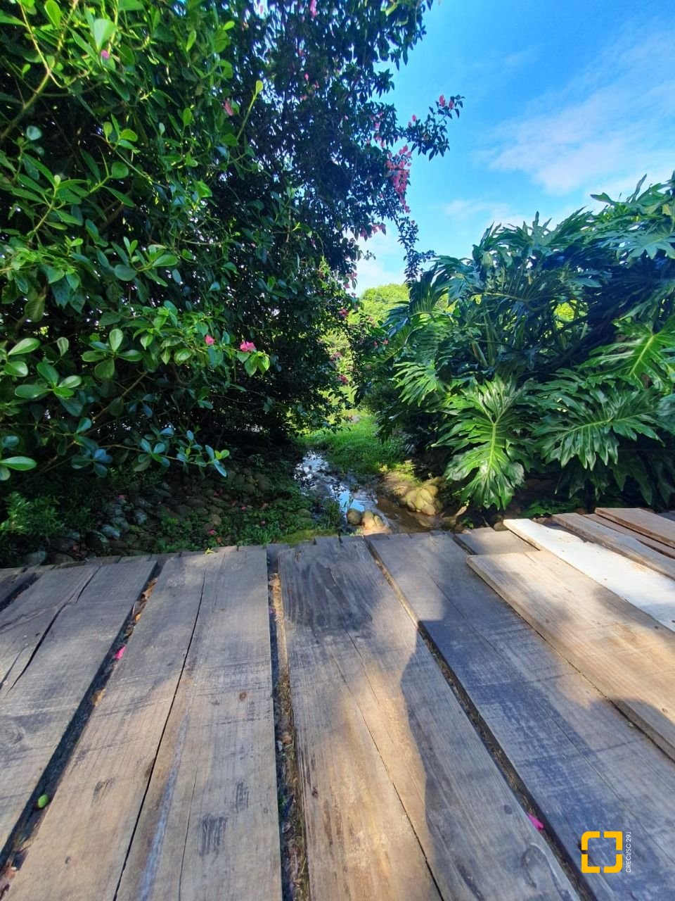 Terreno com 1261m², no bairro Ingleses em Florianópolis