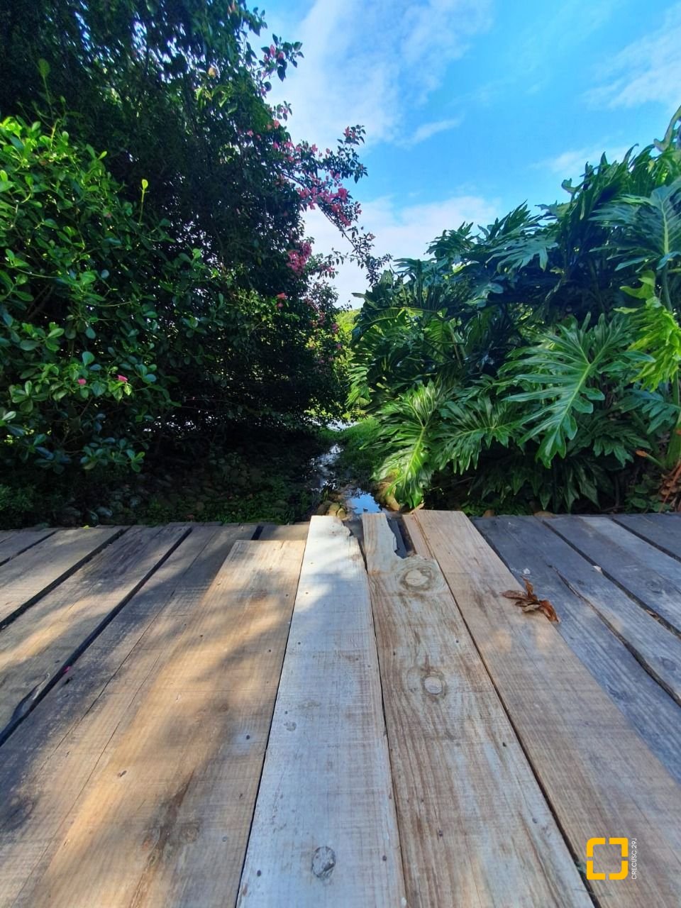 Terreno com 1261m², no bairro Ingleses em Florianópolis