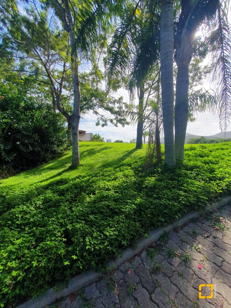 Terreno com 1261m², no bairro Ingleses em Florianópolis
