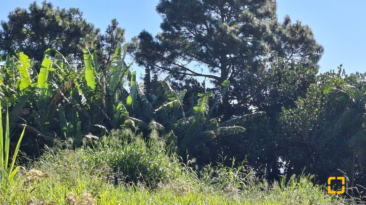 Terreno com 801m², no bairro Capoeiras em São José