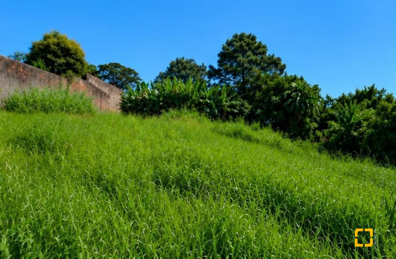 Terreno com 801m², no bairro Capoeiras em São José