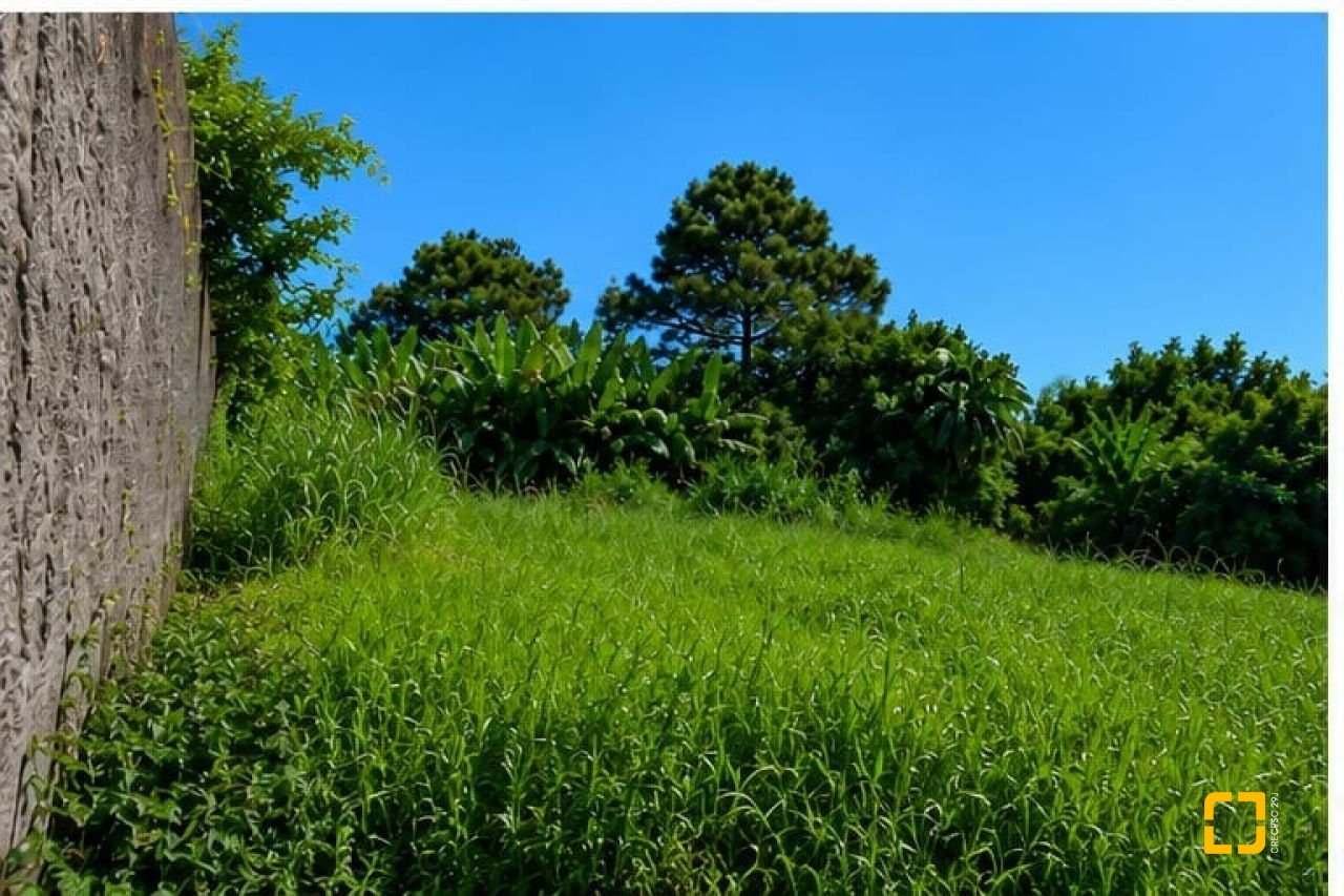 Terreno com 801m², no bairro Capoeiras em São José
