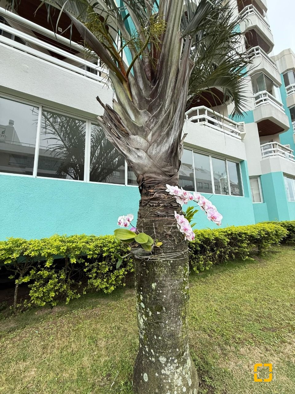 Apartamento com 42m², 1 quarto, no bairro Ingleses em Florianópolis
