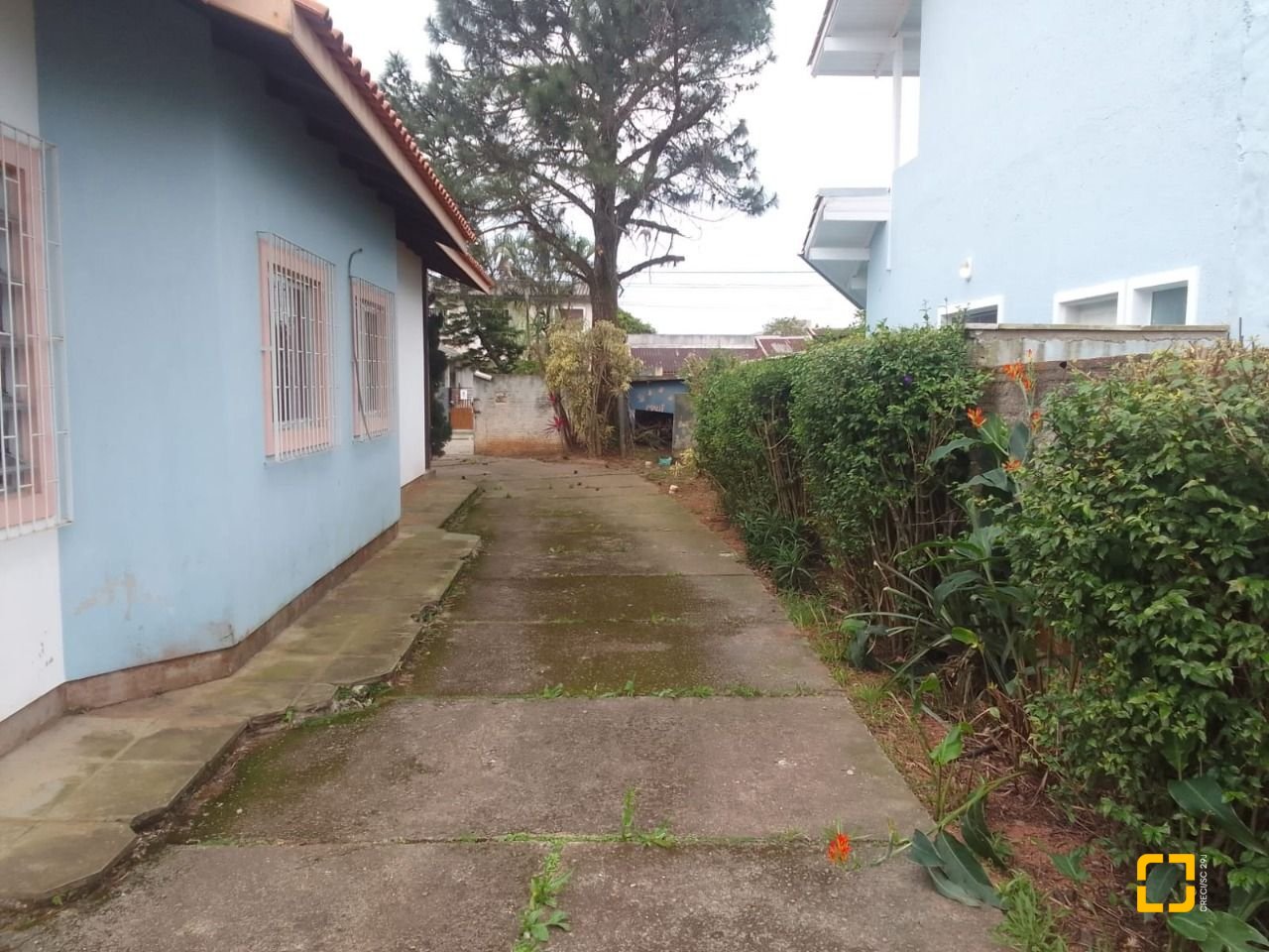 Casa com 180m², 5 quartos (sendo 1 suíte), 4 garagens, no bairro Campeche em Florianópolis