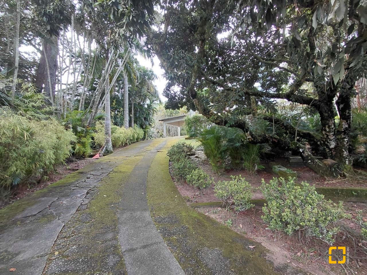 Terreno com 73300m², no bairro Saco Grande em Florianópolis