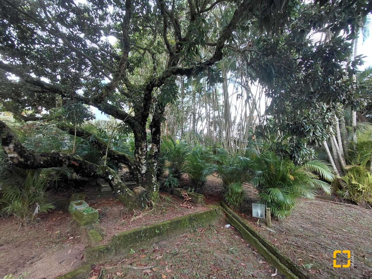 Terreno com 73300m², no bairro Saco Grande em Florianópolis