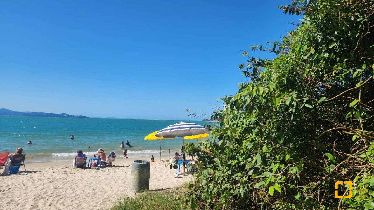 Casa com 298m², 5 quartos (sendo 1 suíte), 6 garagens, no bairro Daniela em Florianópolis