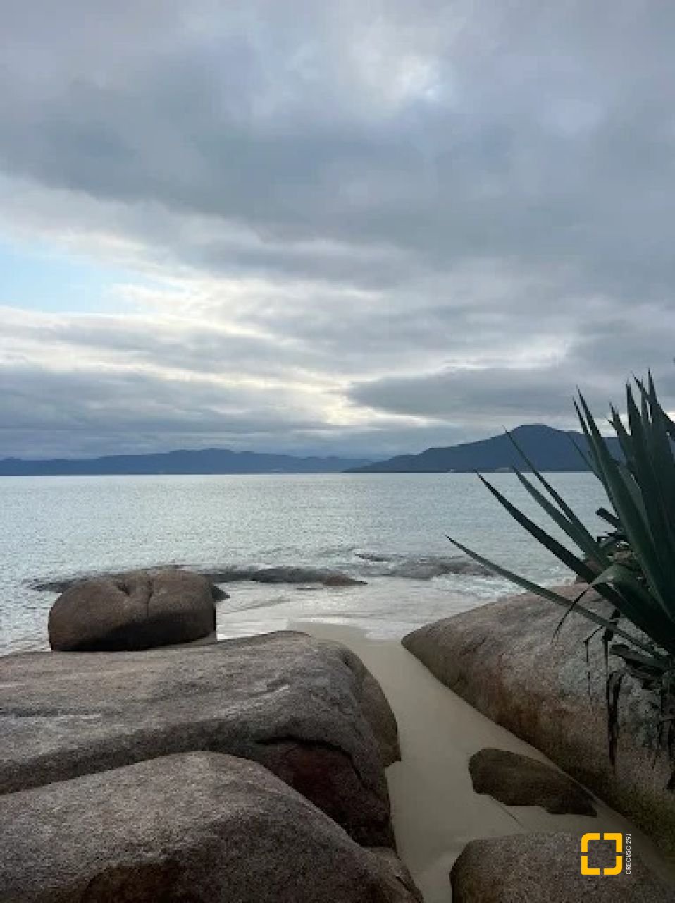 Casa com 298m², 5 quartos (sendo 1 suíte), 6 garagens, no bairro Daniela em Florianópolis