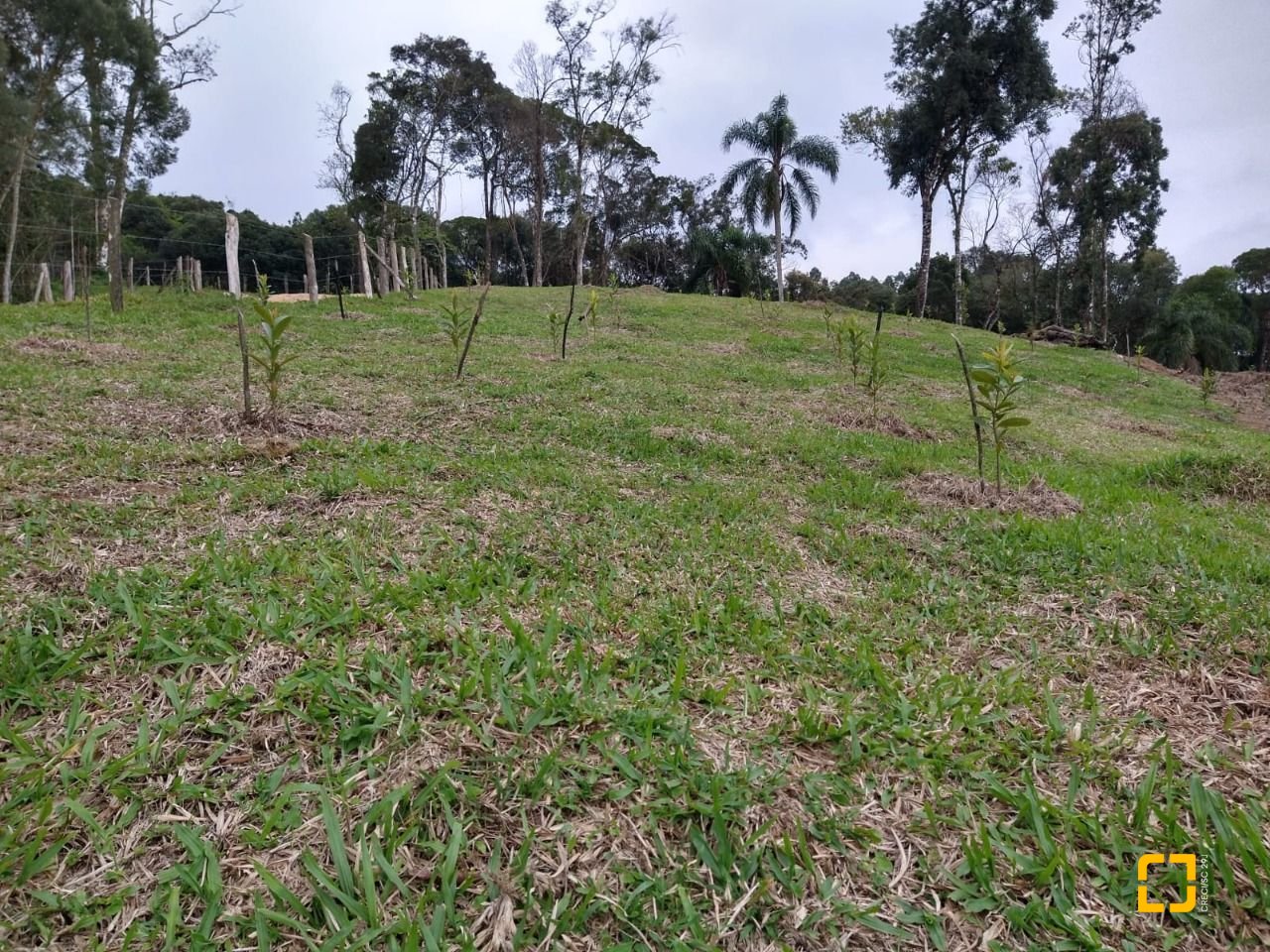 Sítio com 30000m², 1 quarto, no bairro Centro em Anitápolis