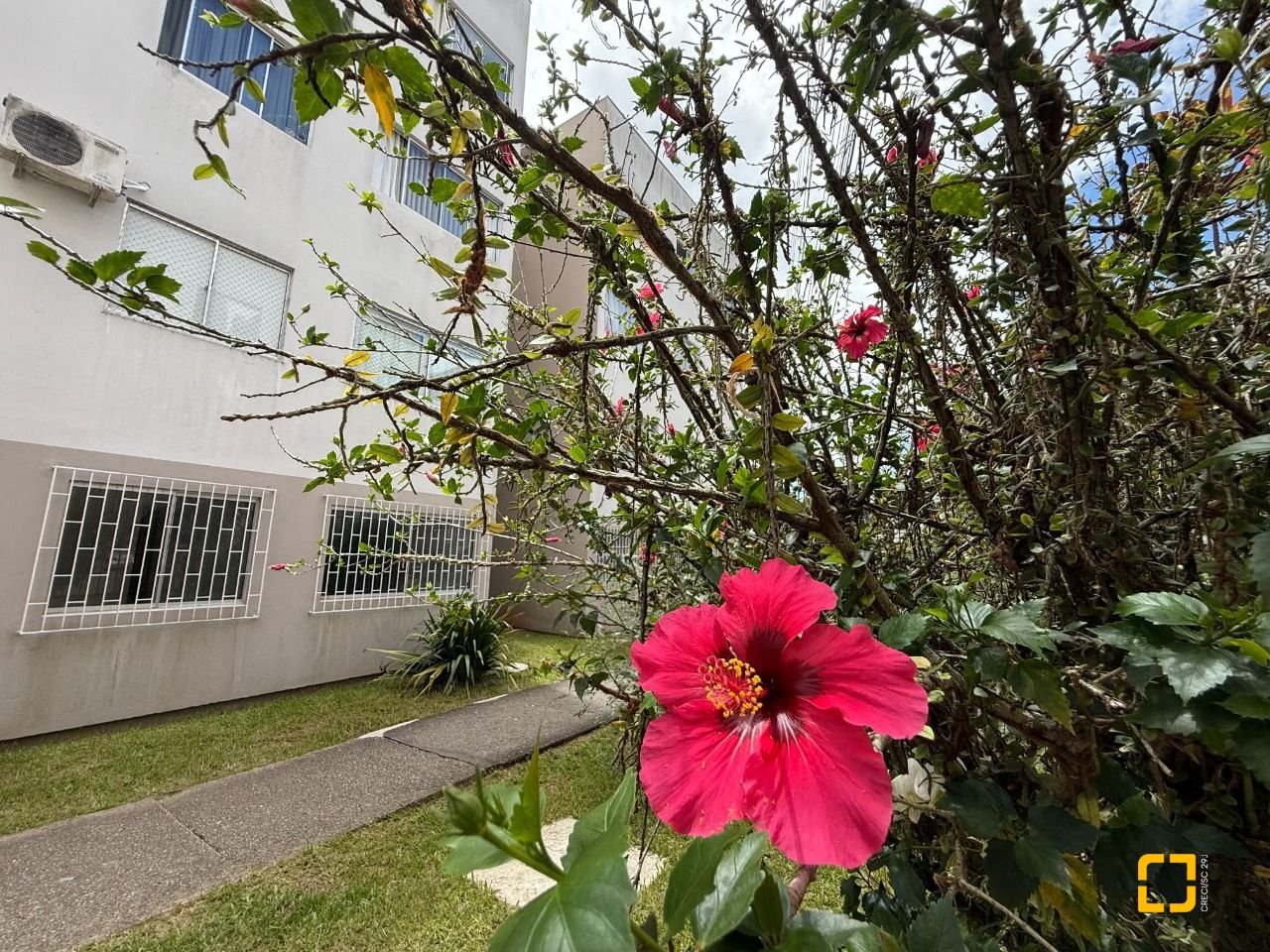 Apartamento com 59m², 3 quartos, 1 garagem, no bairro Itacorubi em Florianópolis