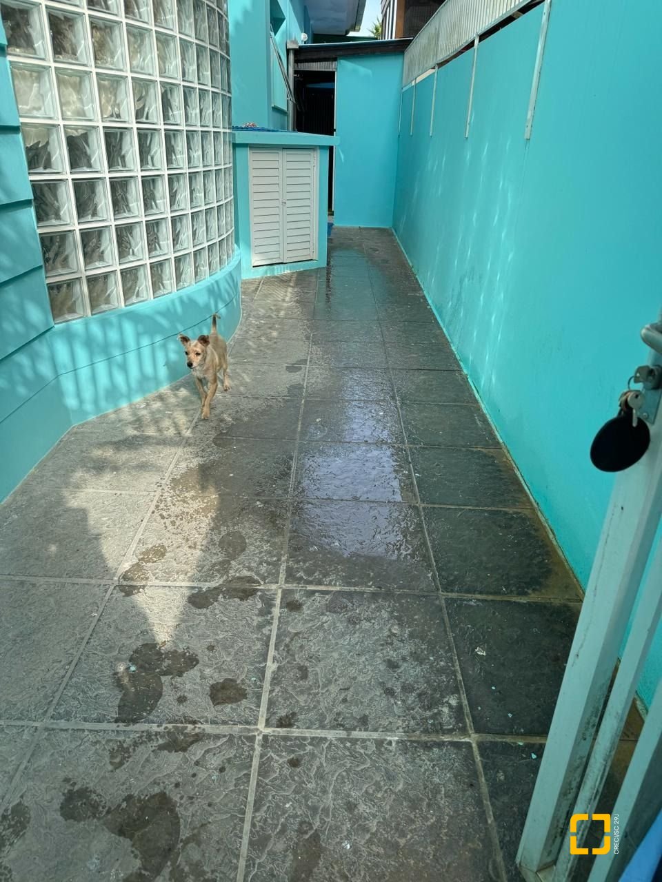 Casa com 269m², 5 quartos (sendo 2 suítes), 6 garagens, no bairro Jurerê em Florianópolis