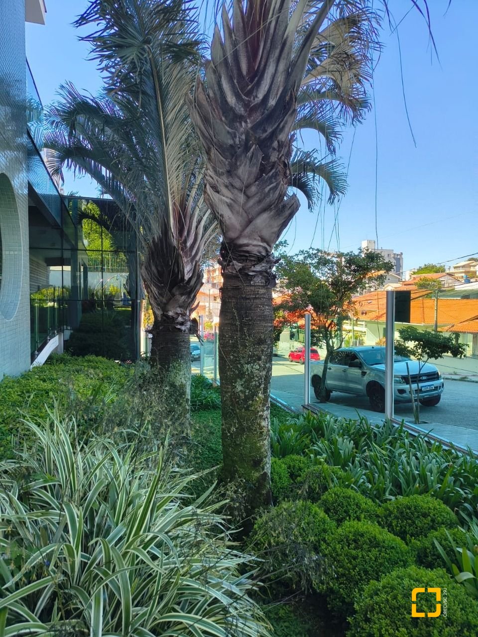 Apartamento com 117m², 5 quartos (sendo 1 suíte), 2 garagens, no bairro Jardim Atlântico em Florianópolis