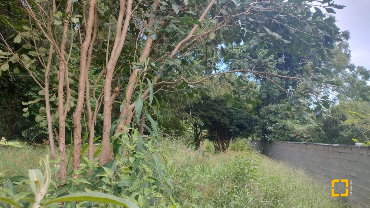 Terreno com 3657m², no bairro Ratones em Florianópolis
