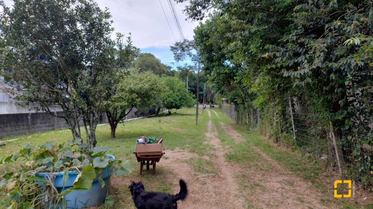 Terreno com 3657m², no bairro Ratones em Florianópolis
