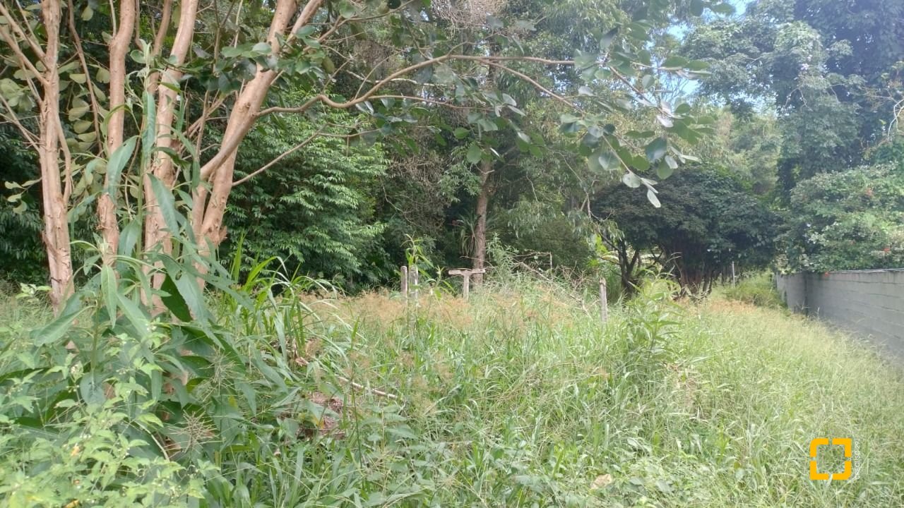 Terreno com 3657m², no bairro Ratones em Florianópolis