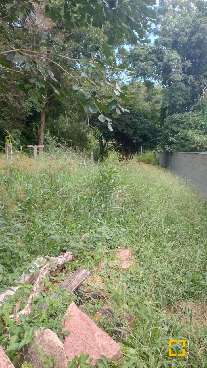 Terreno com 3657m², no bairro Ratones em Florianópolis