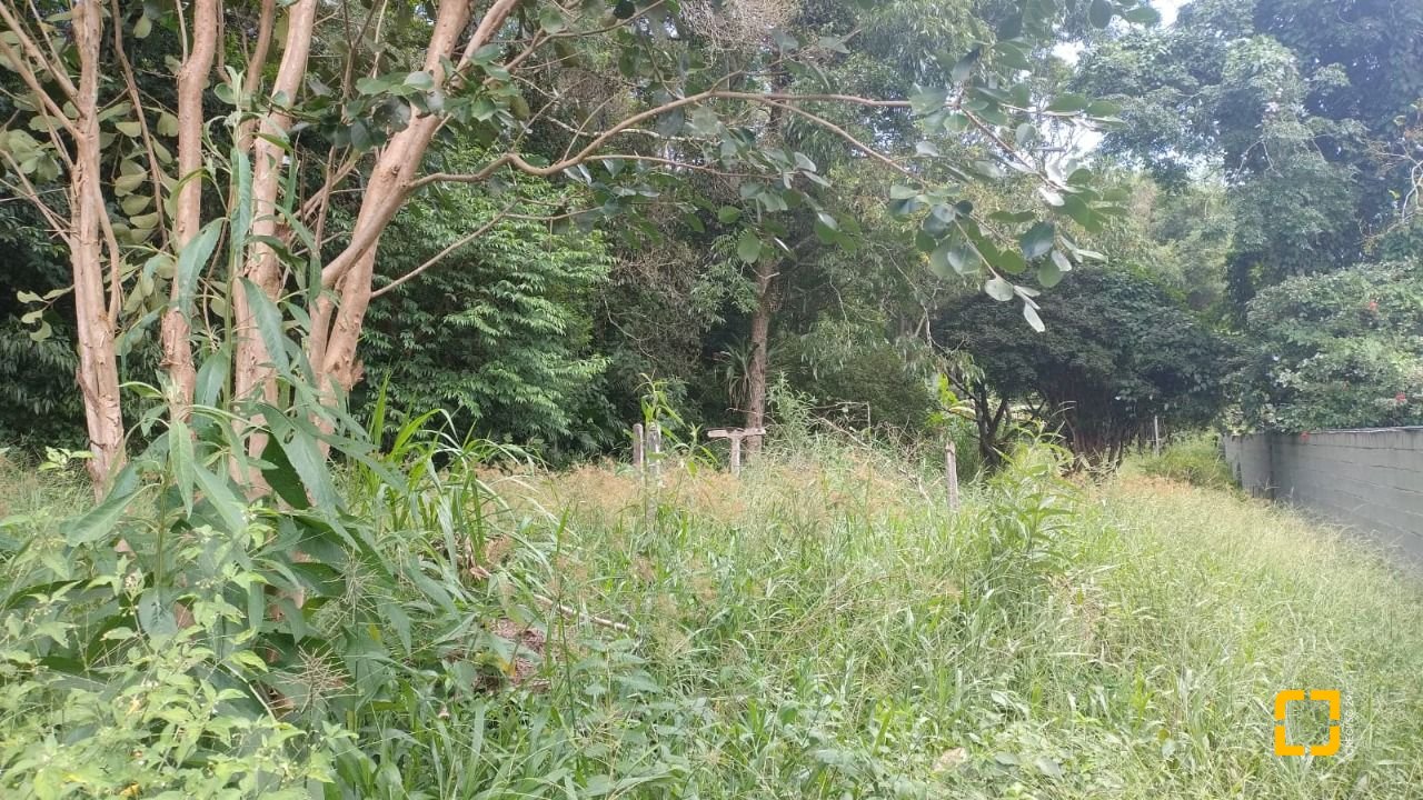 Terreno com 3657m², no bairro Ratones em Florianópolis