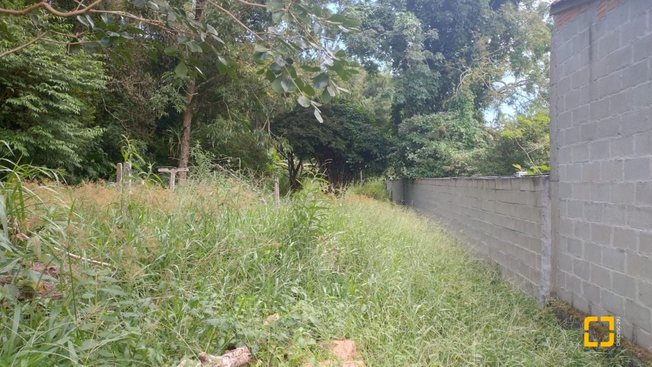 Terreno com 3657m², no bairro Ratones em Florianópolis