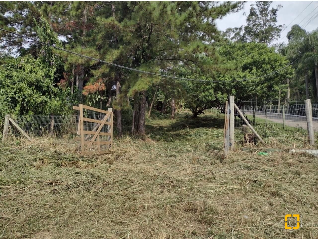 Terreno com 28060m², no bairro Córrego Grande em Florianópolis