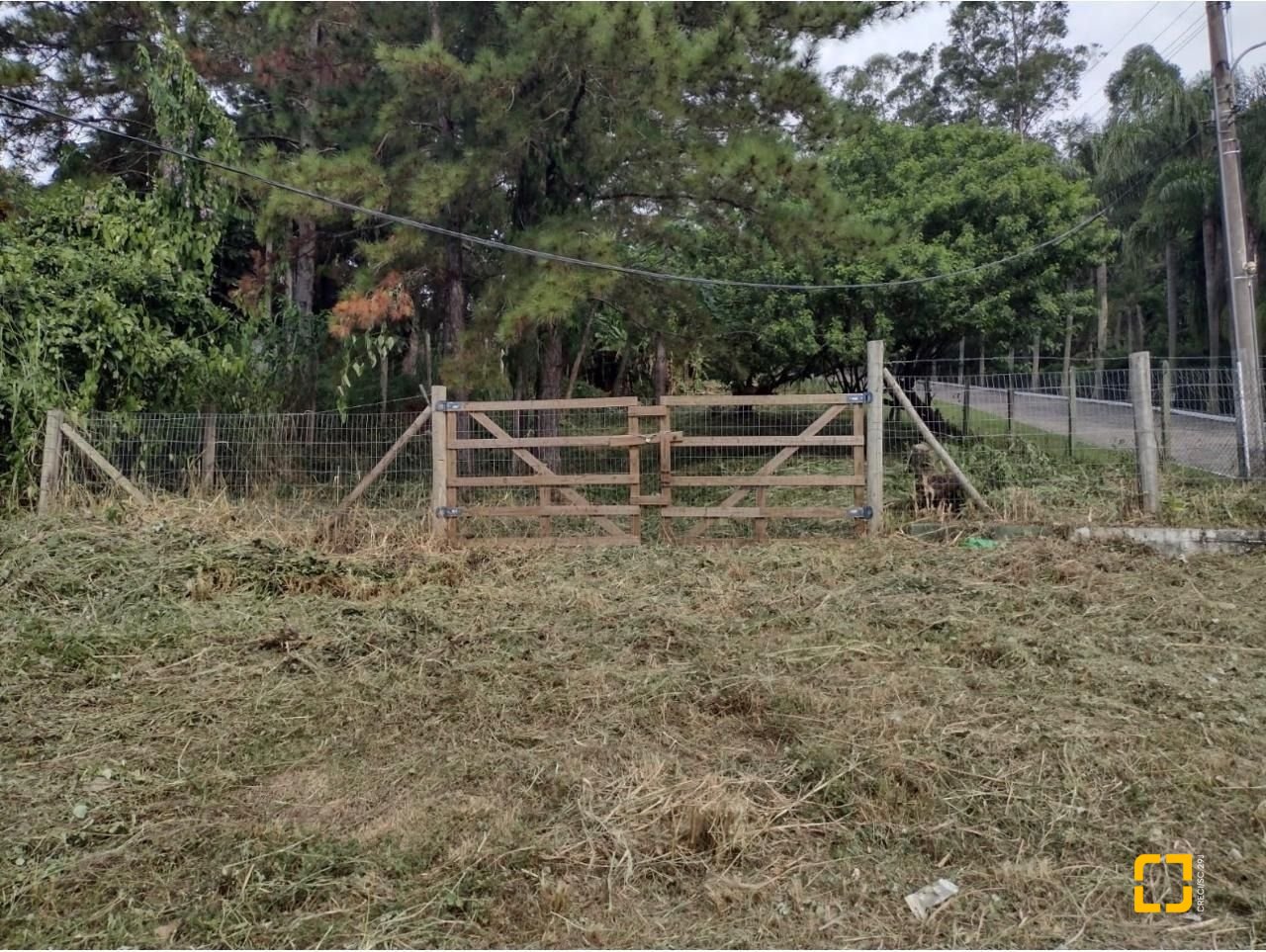 Terreno com 28060m², no bairro Córrego Grande em Florianópolis