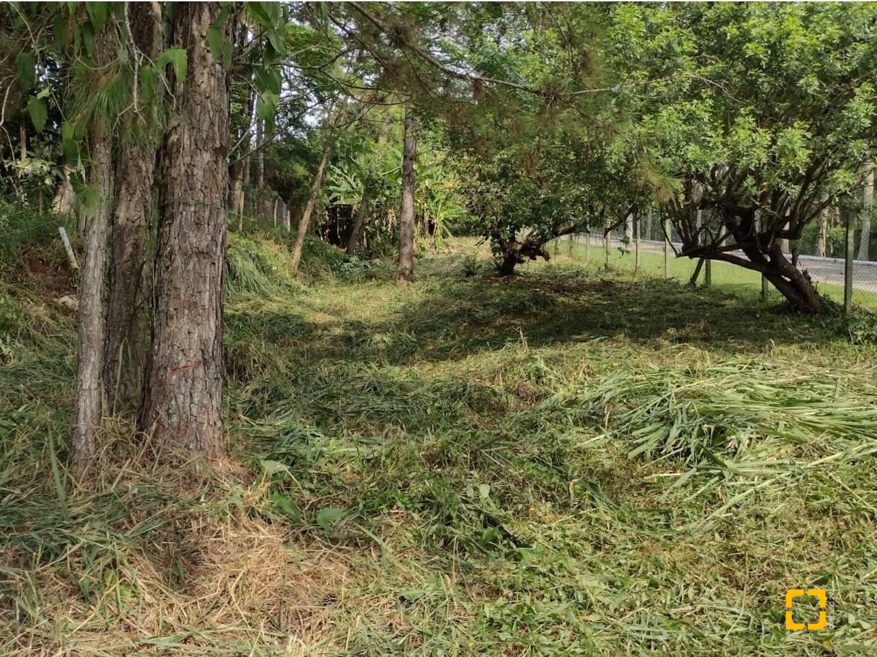 Terreno com 28060m², no bairro Córrego Grande em Florianópolis