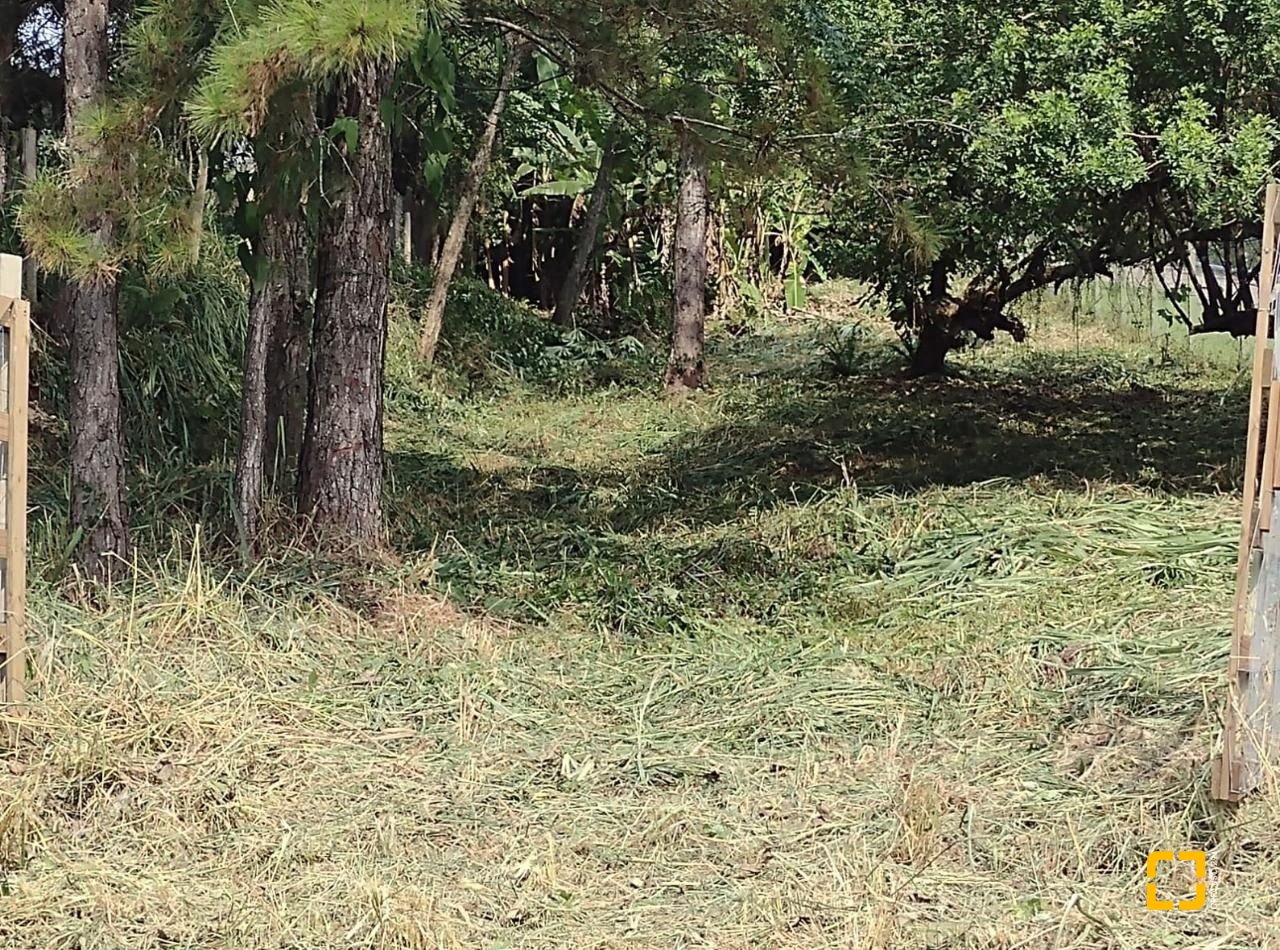 Terreno com 28060m², no bairro Córrego Grande em Florianópolis