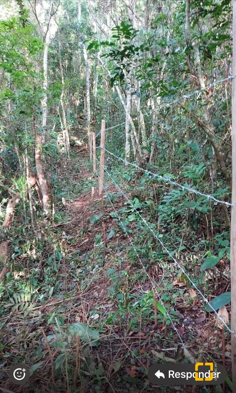 Terreno com 28060m², no bairro Córrego Grande em Florianópolis