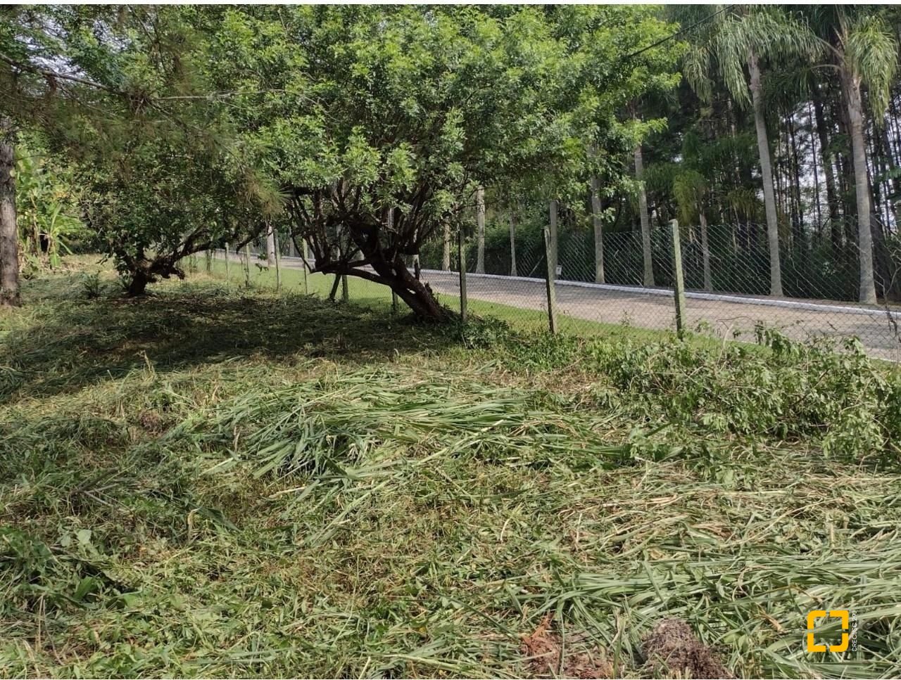 Terreno com 28060m², no bairro Córrego Grande em Florianópolis