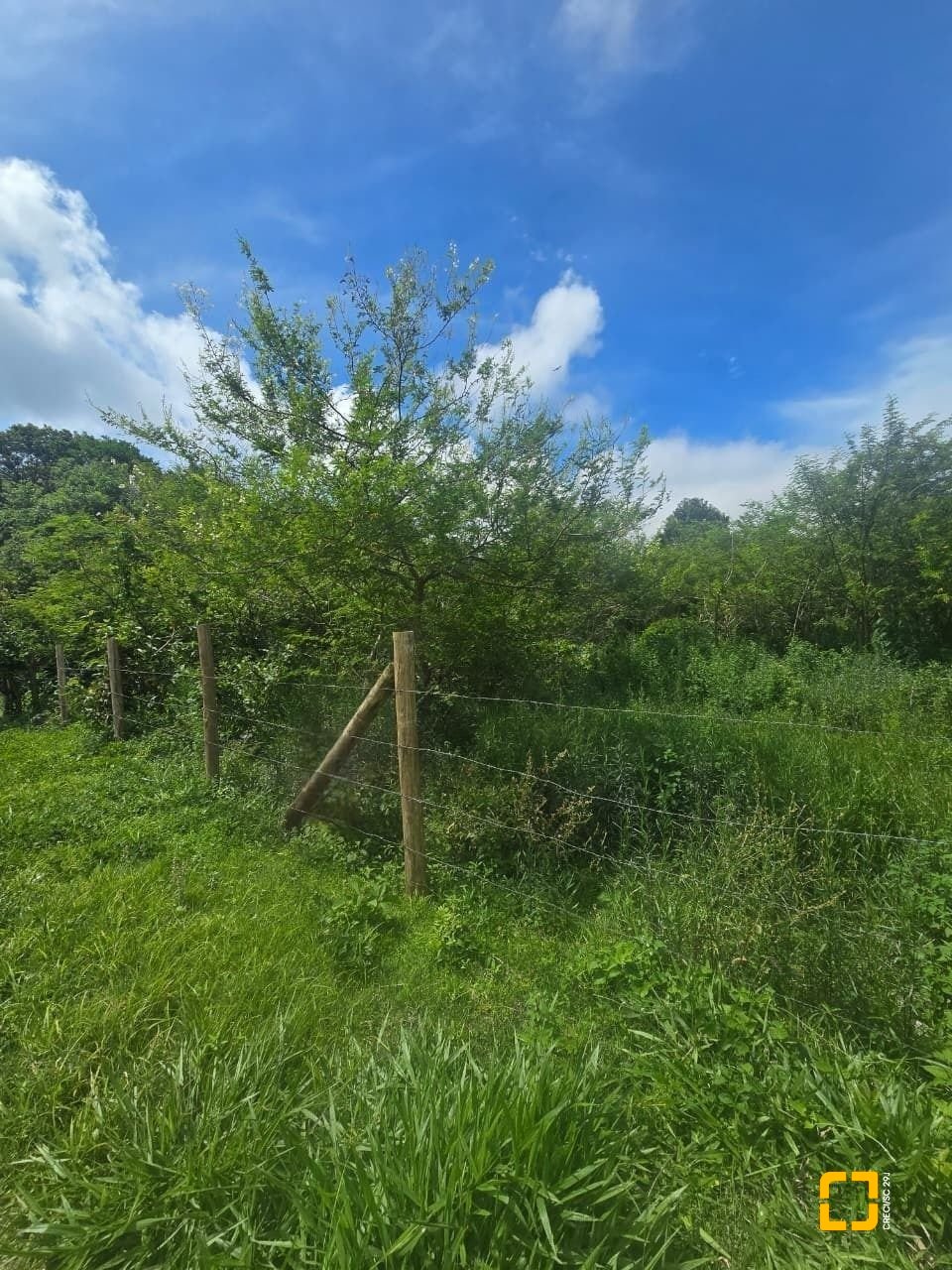 Terreno com 400m², no bairro Açores em Florianópolis