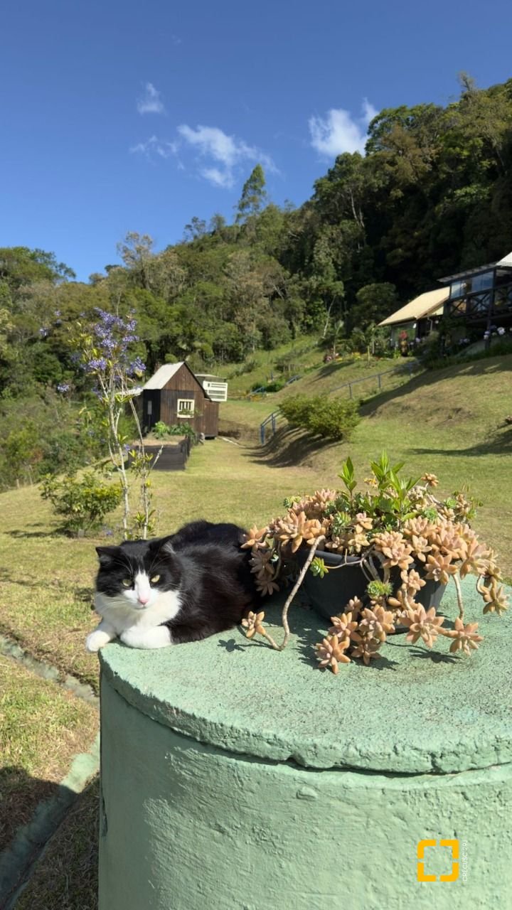 Terreno com 1301m², no bairro Vargedo em Rancho Queimado