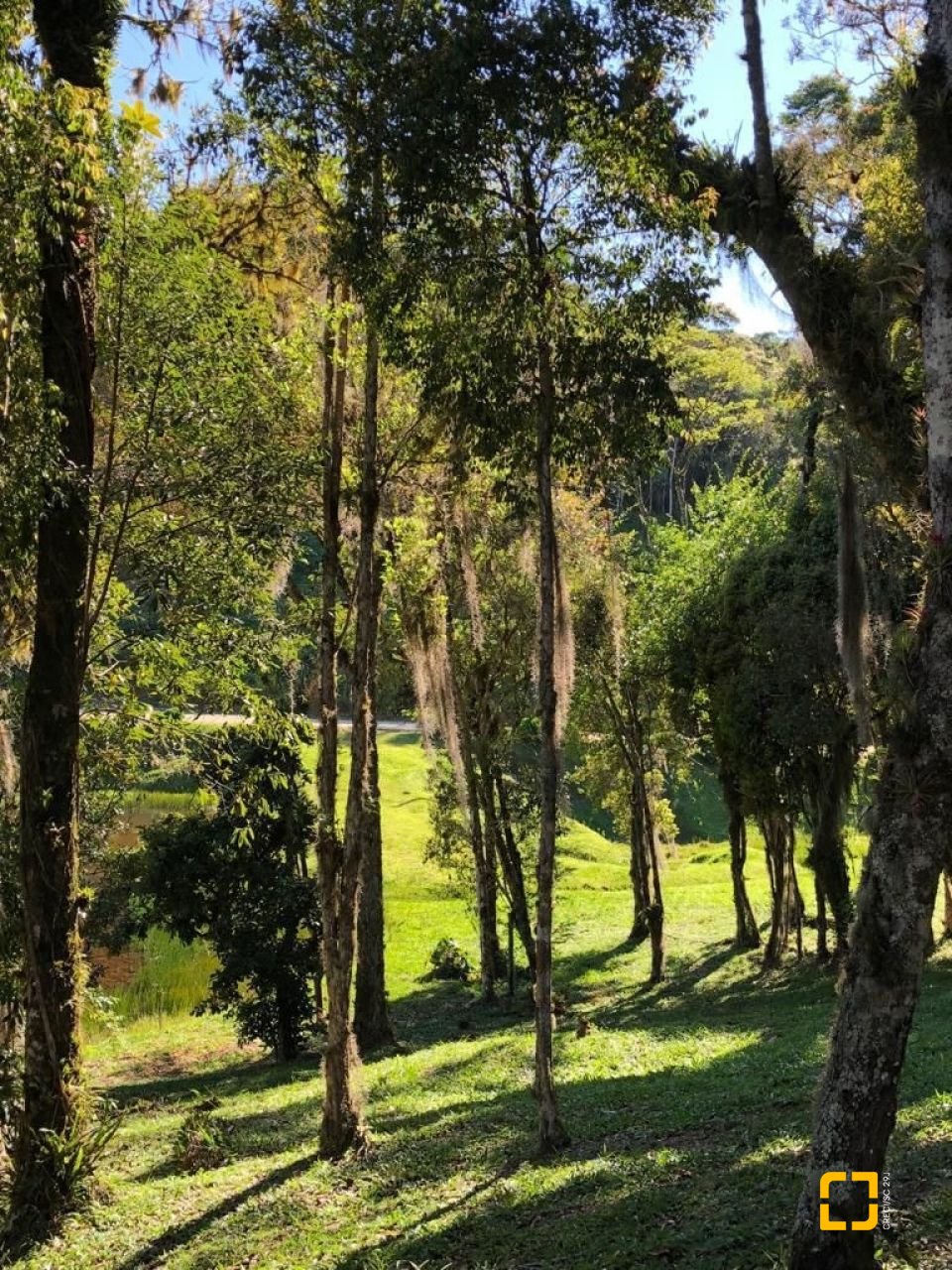 Terreno com 1301m², no bairro Vargedo em Rancho Queimado