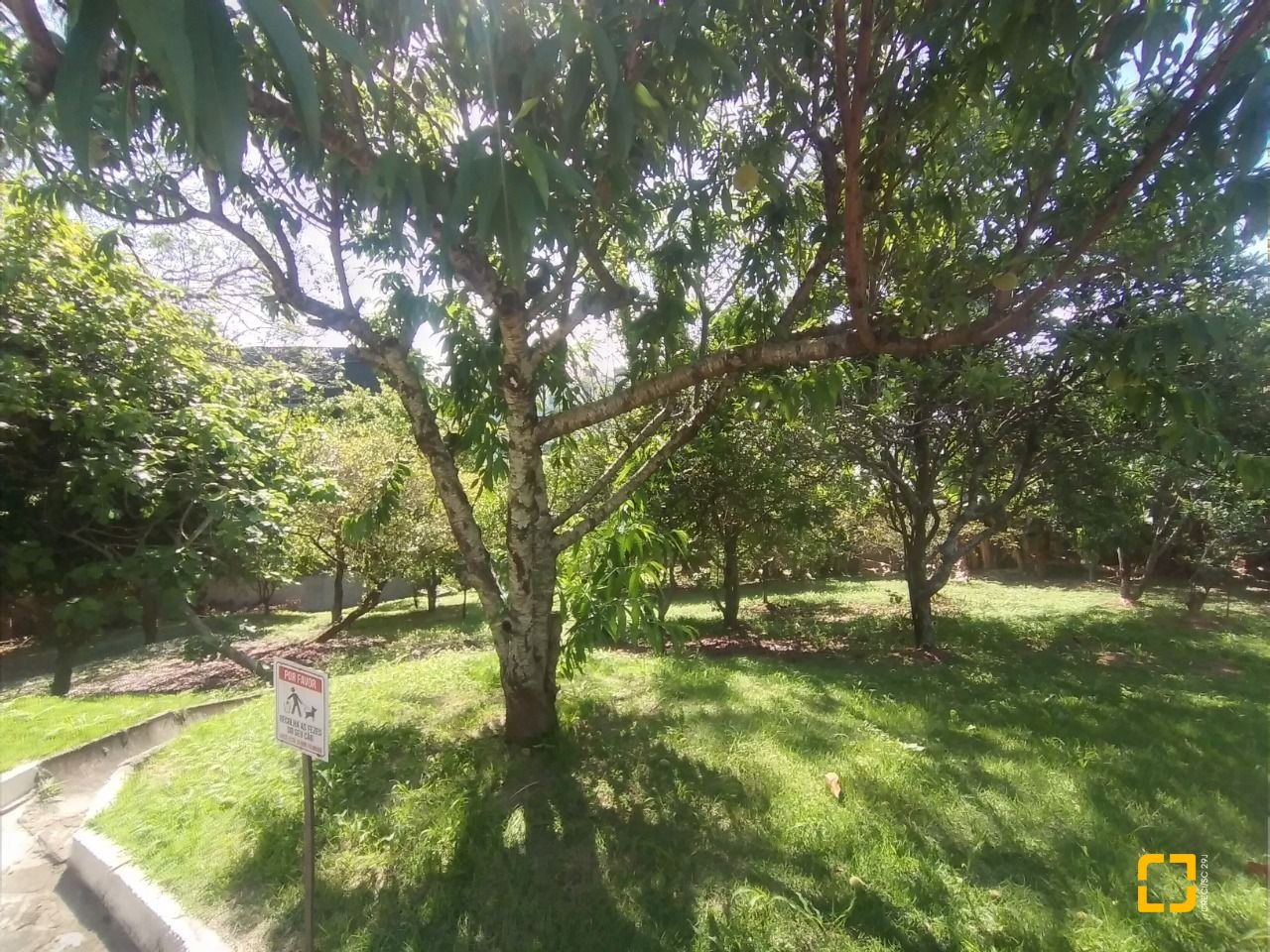 Casa com 270m², 4 quartos (sendo 4 suítes), 2 garagens, no bairro Coqueiros em Florianópolis