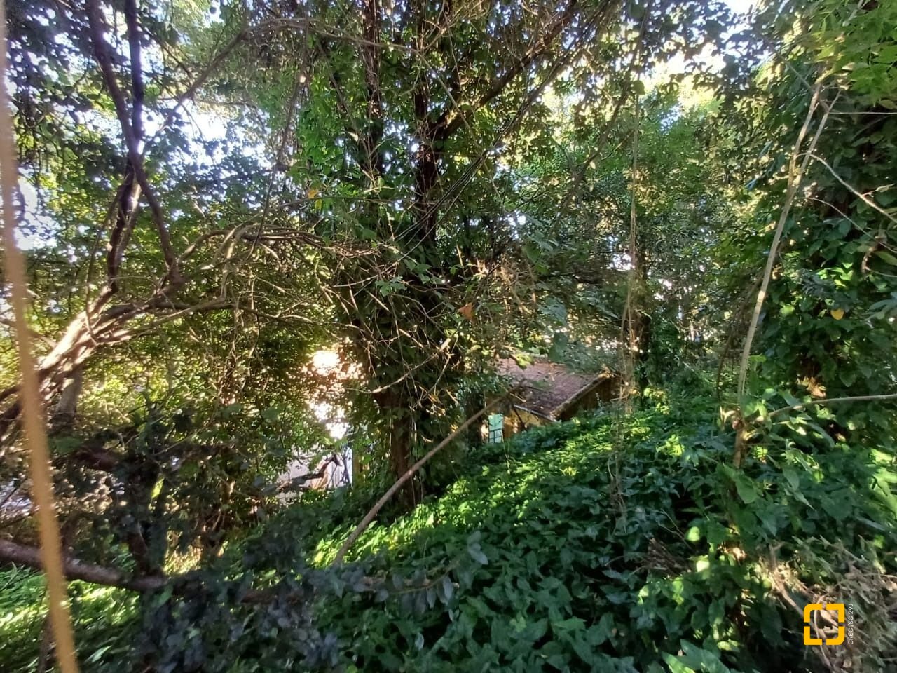 Terreno com 1125m², no bairro Estreito em Florianópolis
