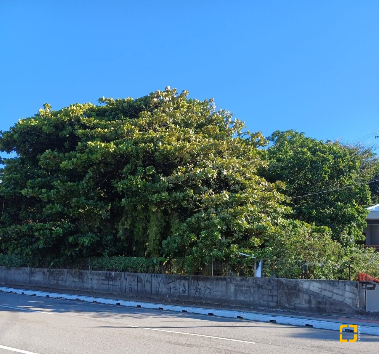 Terreno com 1125m², no bairro Estreito em Florianópolis