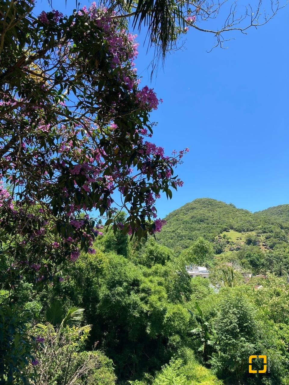 Terreno com 455m², no bairro Ratones em Florianópolis