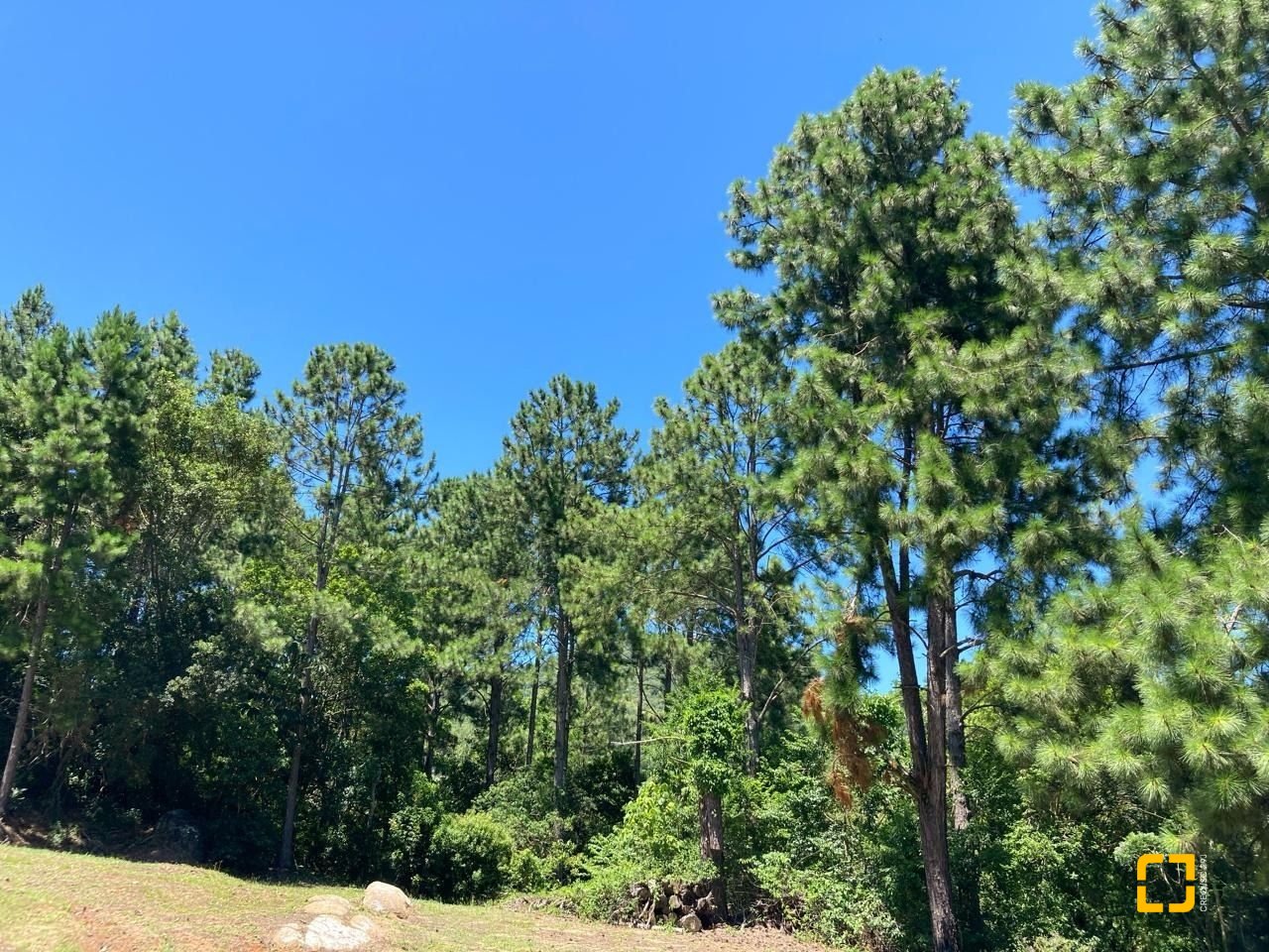 Terreno com 455m², no bairro Ratones em Florianópolis