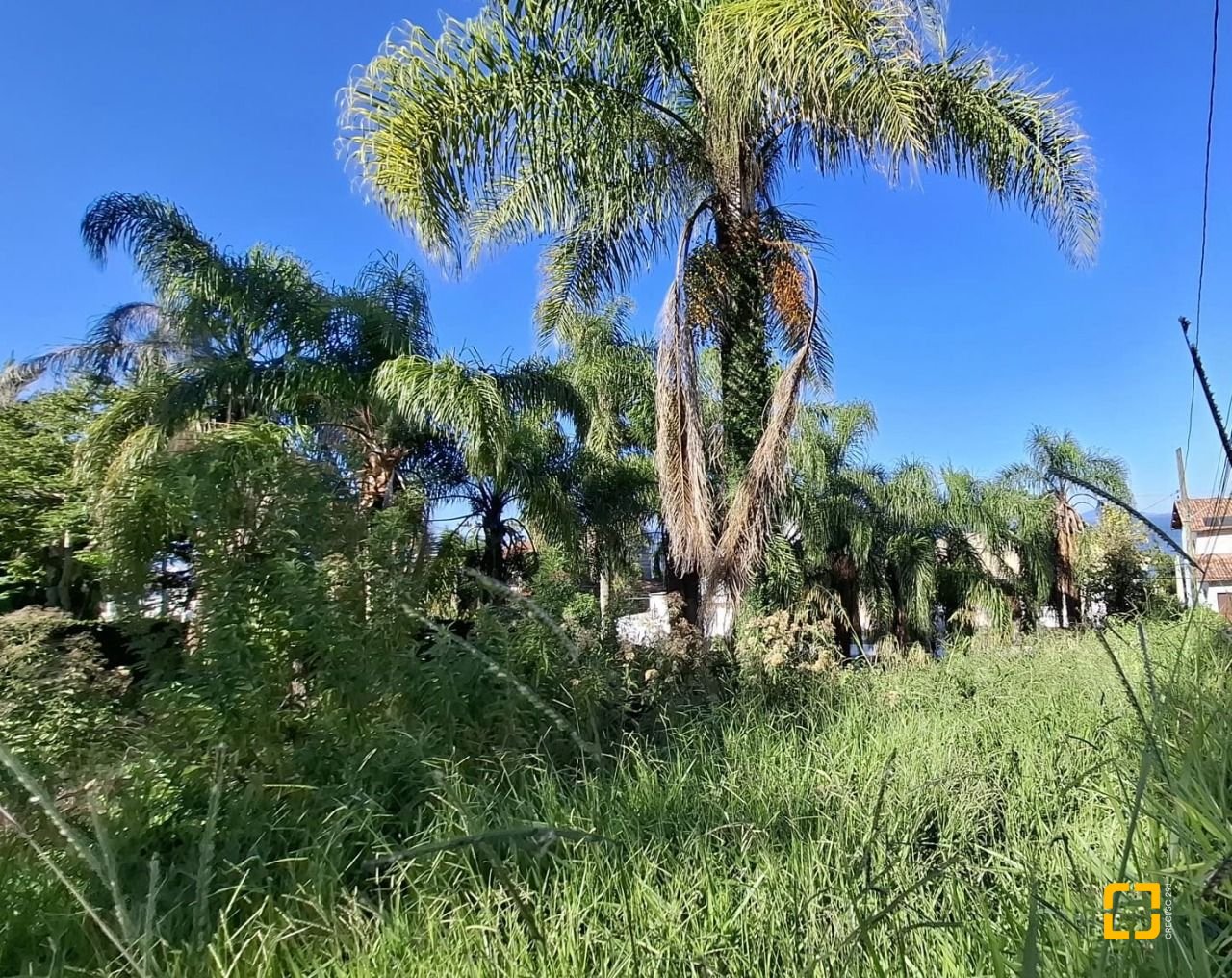 Terreno com 4214m², no bairro Ponta de Baixo em São José